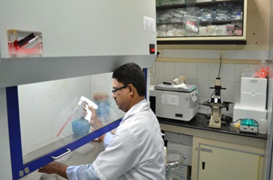 Cell_culture_lab2