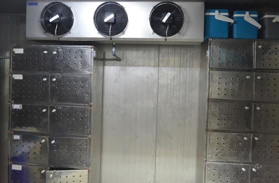 Cold_room_2