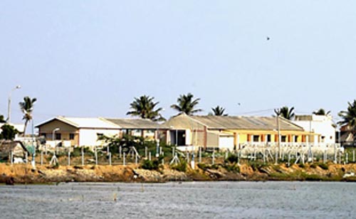 Muttukaddu