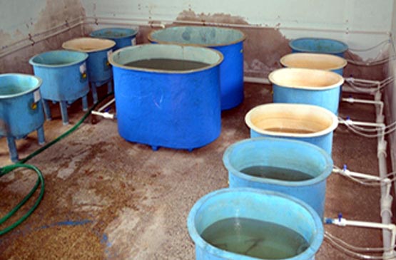 wetlab1