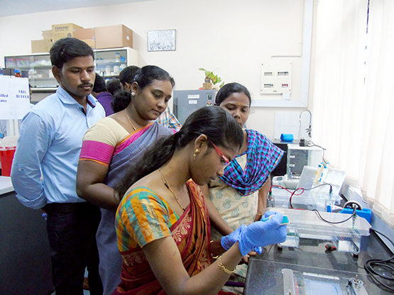 PCR Test1