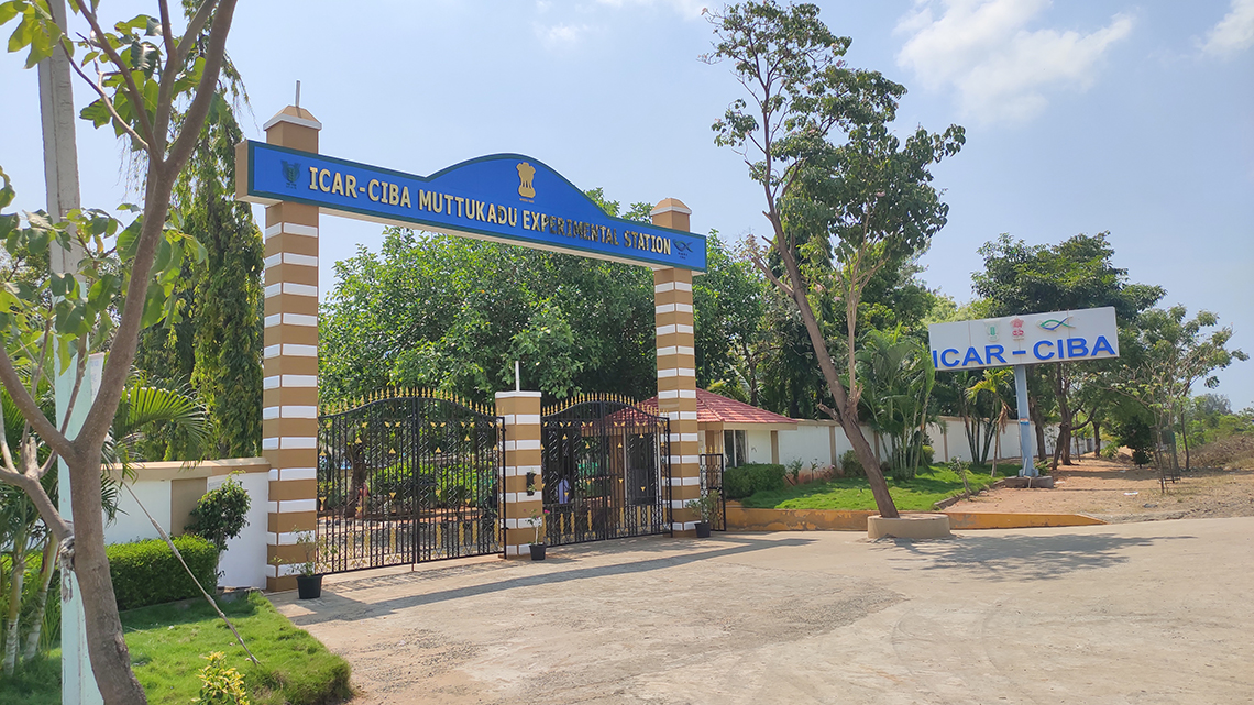 muttukadu-experimental-station