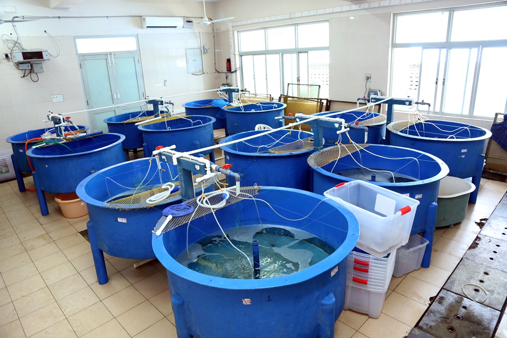 Health Laboratories Central Institute of Brackishwater Aquaculture