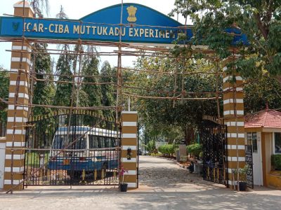 Engg Cell 4