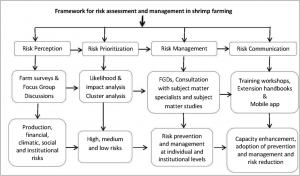 Assessment of perceived farming risks, communication of risk management practices, and evaluation of their efficiency in Pacific white shrimp (Penaeus vannamei) farming—a survey-based cross-sectional study