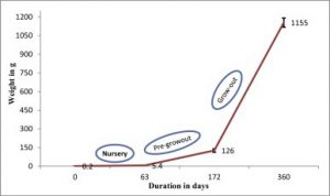 Three-tier cage aquaculture of Asian Seabass (Lates calcarifer) fish in the coastal brackishwaters - A techno-economic appraisal