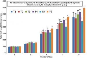 Efficiency of different microalgae as monospecific and bispecific diets in larval rearing of Penaeus indicus with special reference to growth, nutrient composition and antimicrobial activity of microalgae