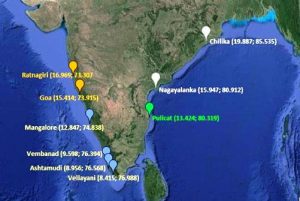 Mitochondrial DNA based diversity studies reveal distinct and substructured populations of pearlspot, Etroplus suratensis (Bloch, 1790) in Indian waters