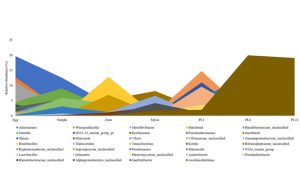 Microbial community composition associated with early developmental stages of the Indian white shrimp, Penaeus indicus