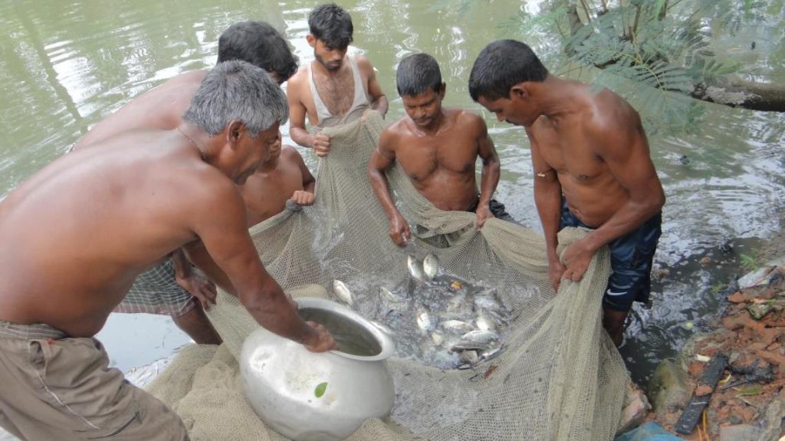 cibaadmin523 04.06.22 0 Comments