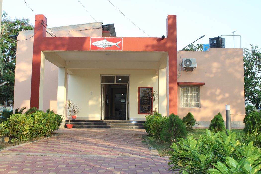 Hostel 4