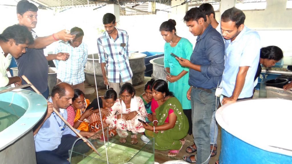 Hands-On Training Programme on Seed production of Nona Tengra, Mystus Gulio for the scheduled cast beneficiaries of sundarbans (Kakdwip, W.B.)