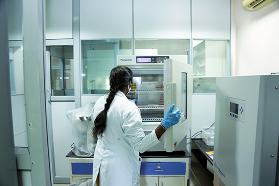 Cell Culture (1)