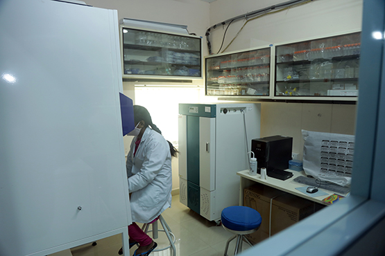 Cell Culture (2)