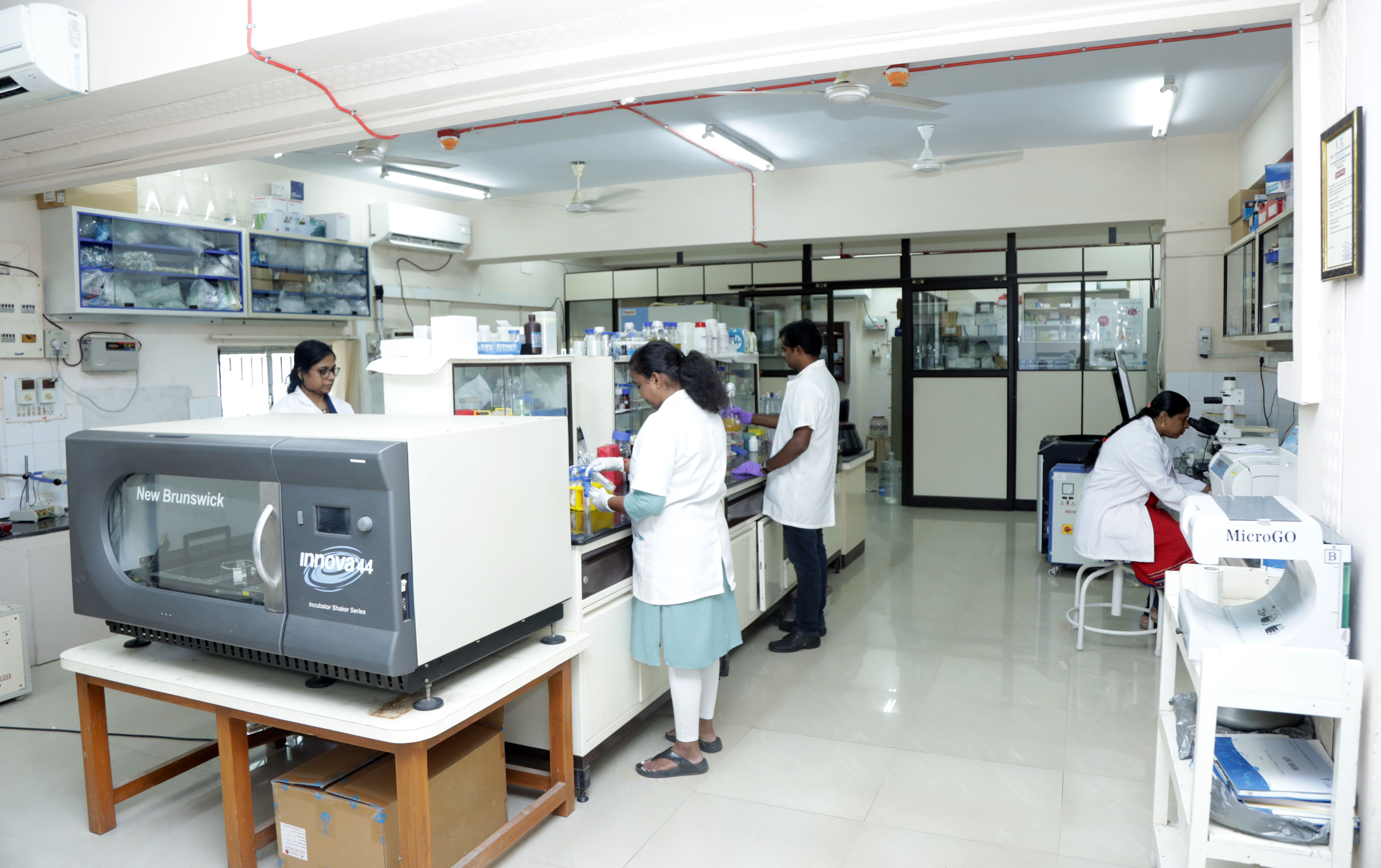 Lab III